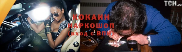 дживик Елабуга