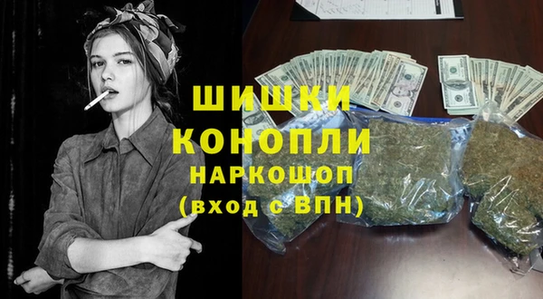 дживик Елабуга
