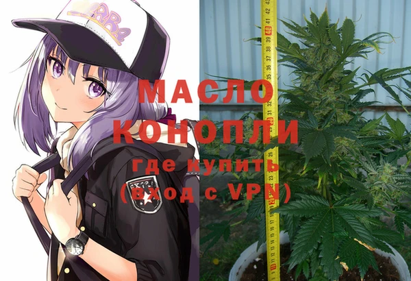 дживик Елабуга