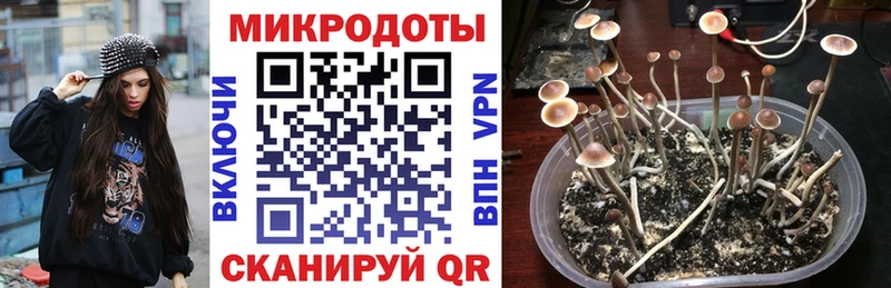 Галлюциногенные грибы мицелий  Купить где  Кирс 