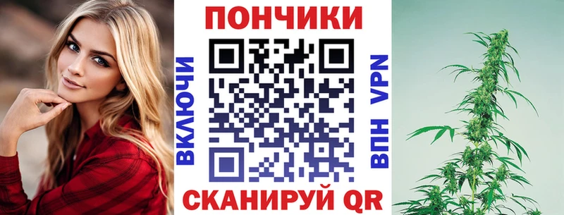 Купить закладки  Кирс  Конопля семена 